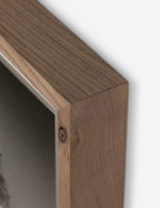 Tirage photographique « Calabasas Oak » par Geoffrey Baris