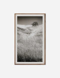 Tirage photographique « Calabasas Oak » par Geoffrey Baris