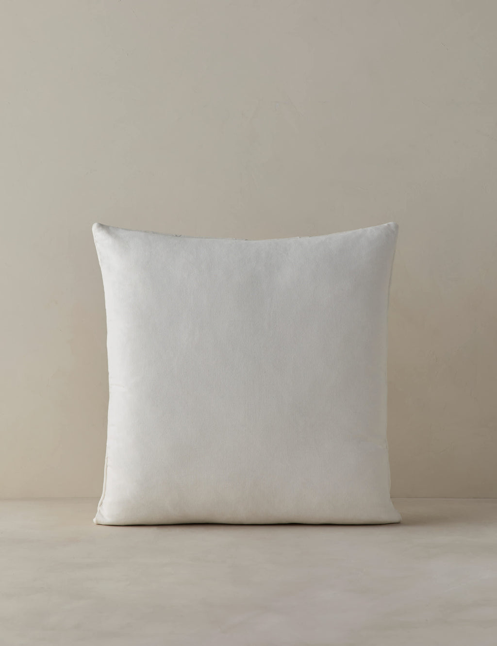 Coussin en lin Carrizo par Élan Byrd